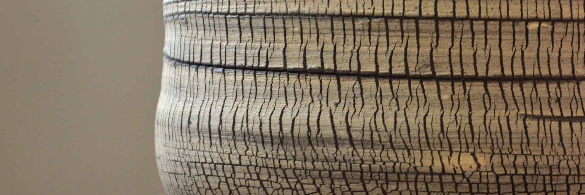 Cover Bark Collection